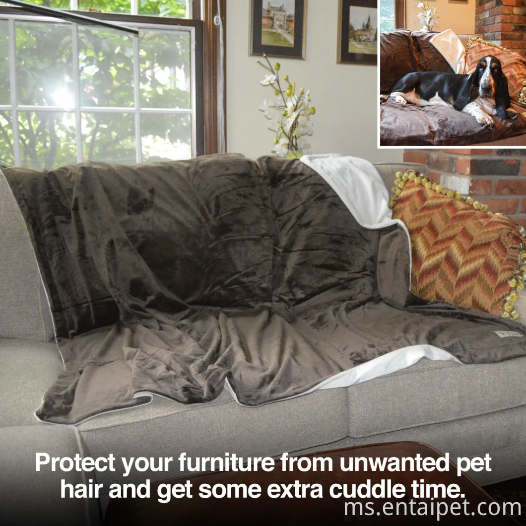 Bekalan haiwan peliharaan Premium Pet Selimut Pelbagai Saiz untuk Anjing & Kucing